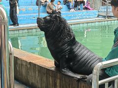 -合肥野生动物园