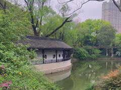 -红梅公园