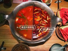 -湊湊火锅·茶憩(新中关购物中心店)