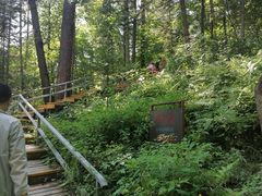 -五营红松林海景区