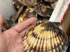 -岳各庄批发市场(西四环中路店)