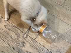 -美联众合爱康动物医院•复杂内科•肿瘤科•牙科•腔镜诊疗中心