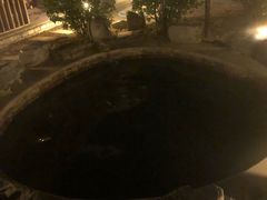 -中家鑫园温泉酒店鑫悦汤泉