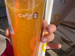 -CoCo都可(北新桥店)
