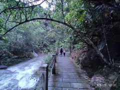 -九龙江国家森林公园