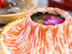 -蜀大侠火锅(车公庙店)