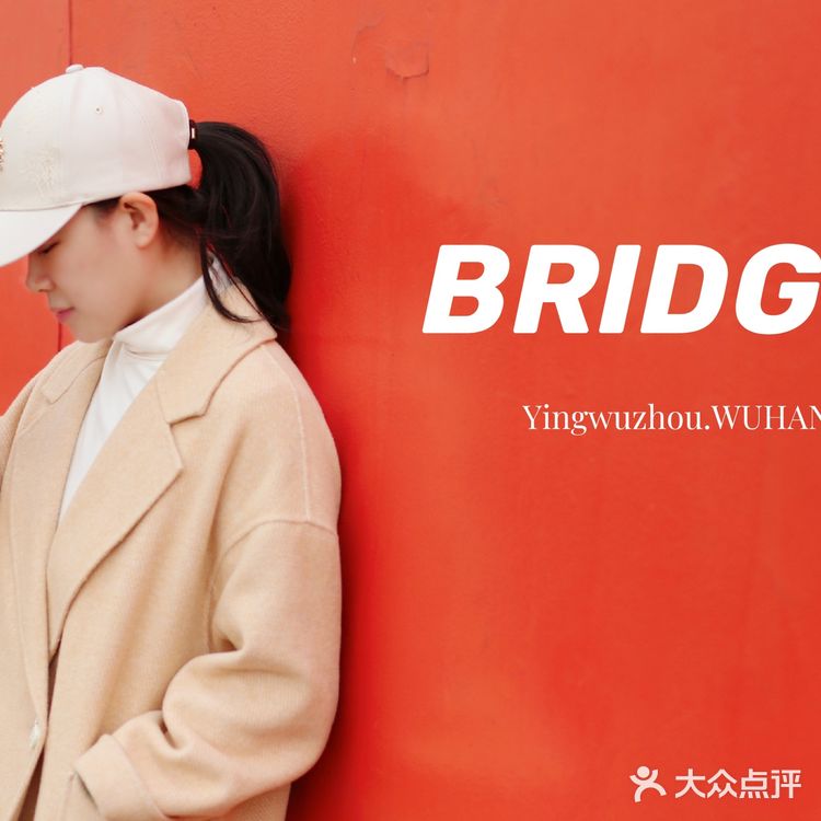 鹦鹉洲长江大桥