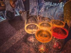 -毛辣果·酸(OHA复兴西路店)