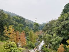 -云溪植物园