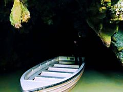 -怀托摩萤火虫洞