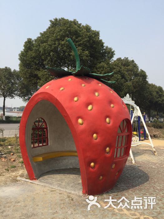 上海白鹤草莓园图片