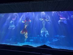 -华夏文旅海洋公园