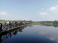 -溱湖国家湿地公园