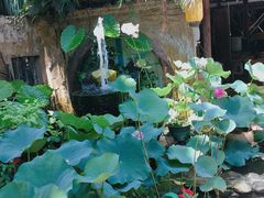 -园林美食城·本土农家菜(杨和镇店)