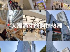 -金茂览秀城