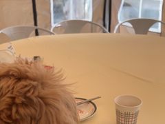 -皇后餐厅-煲仔·小菜·打边炉(古北店)