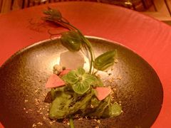 -叶叶菩提·晋福宫