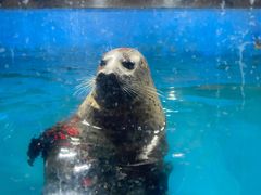 -梦幻海洋王国(吾悦广场张家港店)