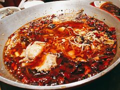 -向川南·水煮鱼·川菜(和平里店)