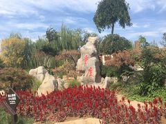 -武清南湖绿博园