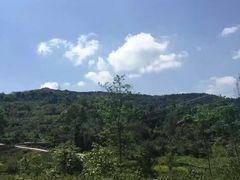 -樱桃山旅游景区