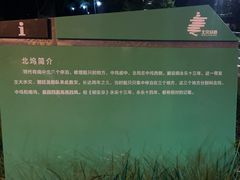 -北坞公园