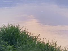 -金海湾滨江公园
