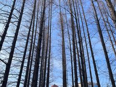 -青岛汇泉商业广场