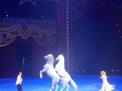 -珠海横琴长隆《卡卡虎奇遇记》