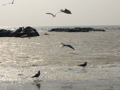 -老虎石海上公园