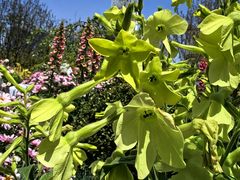 -东方体育中心(地铁站)