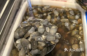 8A Grade Yellow Mud Snail
