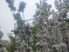 -不止轰趴独栋别墅户外烧烤(颐西庄园店)