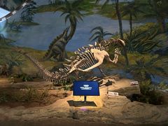 -自贡恐龙博物馆