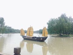 -大湾区中央湿地公园