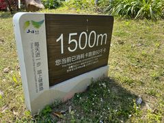 -三垟湿地