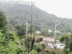 -玫瑰庄园·自助烧烤·烤全羊·团建拓展(龙泉山店)