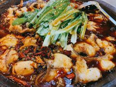 -都江堰石锅鱼