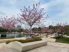 -新江湾城公园