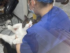 -宠福鑫康馨动物医院·骨科·眼科