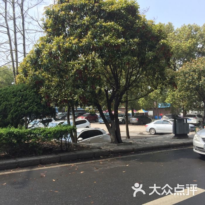 北京植物园一号停车场图片