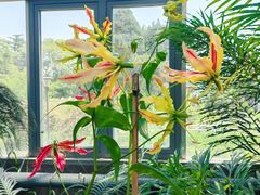 -国家植物园南园