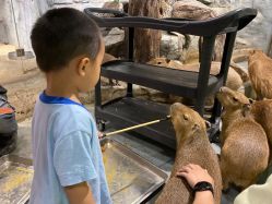 -Zoolung Zoolung动物主题公园(海信广场店)