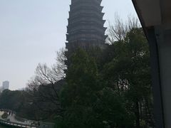 -听松楼·花园酒店·自助餐厅(红梅公园店)