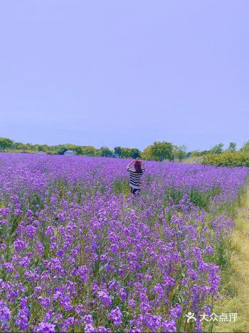 来了一场说走就走的“短途旅行”