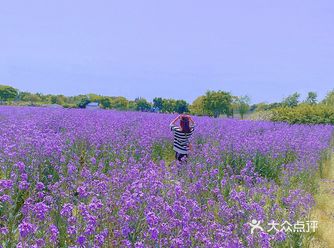 来了一场说走就走的“短途旅行”
