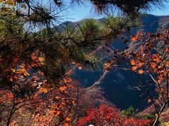 -水峪民俗村