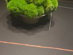 -觀芷隐轩
