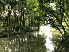 -青枫公园