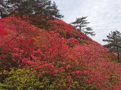 -木兰云雾山